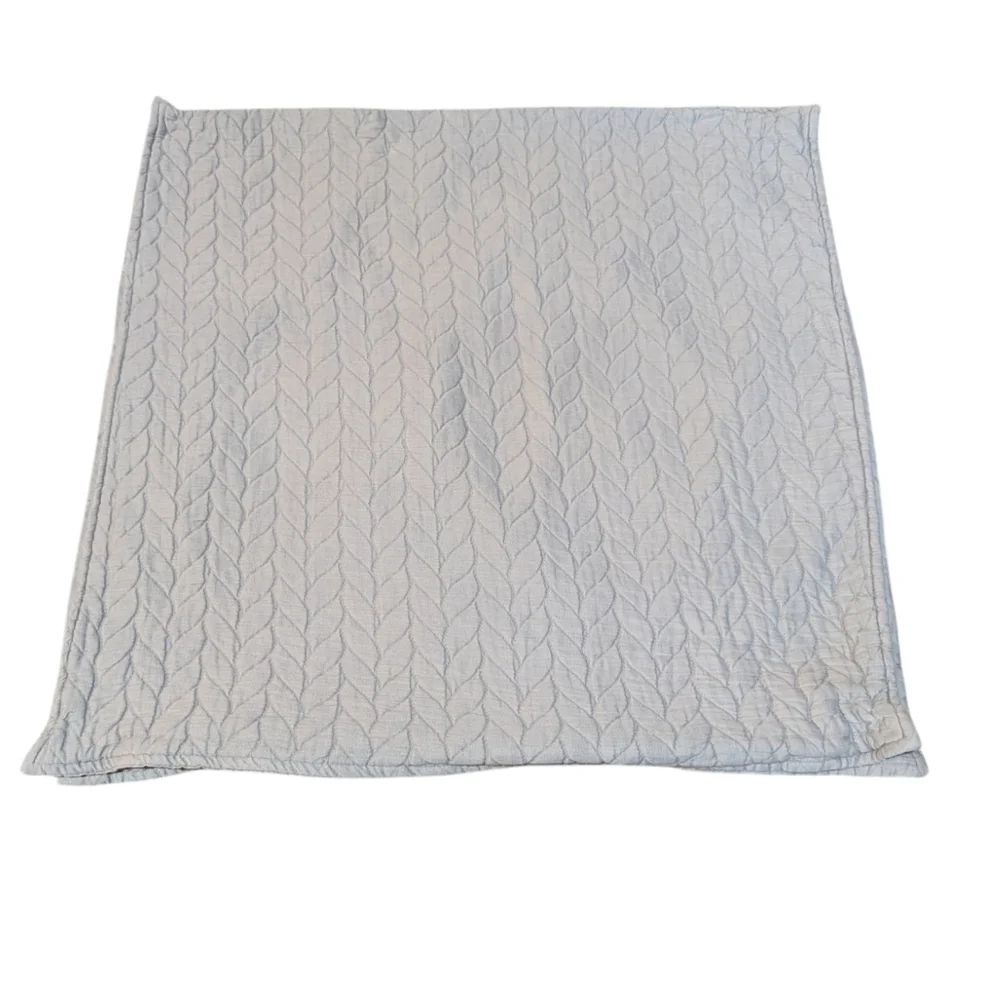 West Elm Organic Cotton Embroidered Euro Pair of Shams Light Grey 26x26